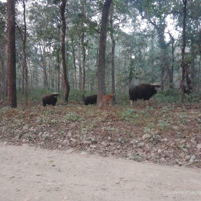 CHITWAN NATIONAL PARK FULL DAY PRIVATE JEEP SAFARI FROM MADI - Meeting Point