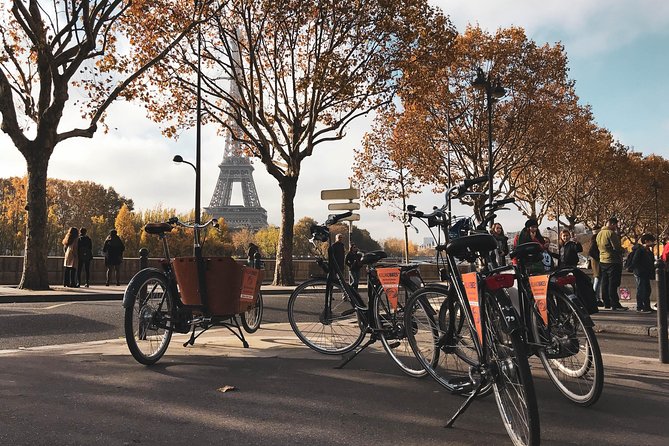 City Bike Tour on a Dutch Bike - Accessibility and Infant Seats