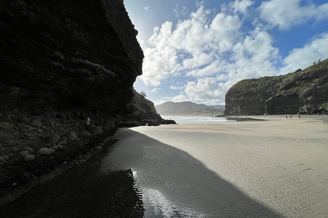 City to Piha - Auckland Day Expedition - Booking Process