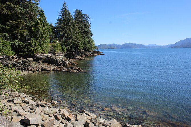 Clan House Tours: Native Cultural and Scenic Shore Excursion - Participant Considerations