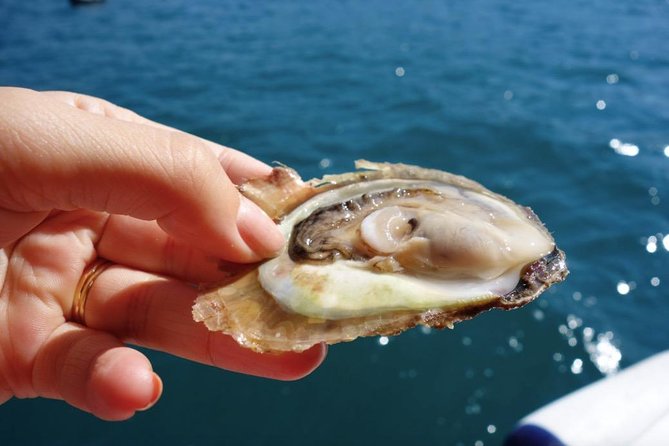 Classic Tour With Wine Tastings From Dubrovnik - Tour Policies and Restrictions