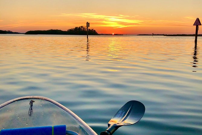 Clear Kayak Tour of Shell Key Preserve and Tampa Bay Area - Equipment Provided