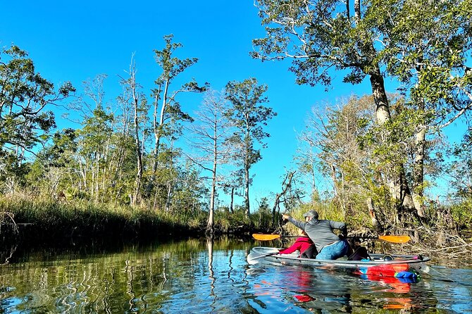 Clear Kayak Tours in Weeki Wachee - Best Times to Book