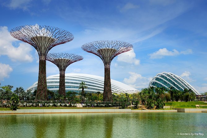 Cloud Forest + Supertree Observatory - Visitor Reviews and Ratings