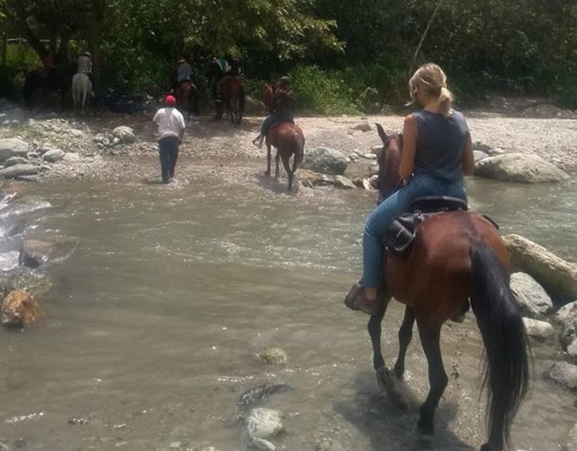 Cocora Valley: Salento & Private Horseback Riding Tour - Booking and Cancellation Policies