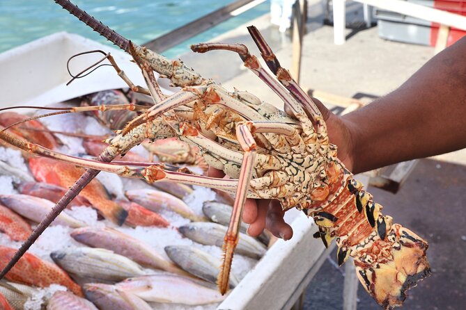 Cooking Class - Grilled Lobster & Fish With Lunch Included - Booking Information