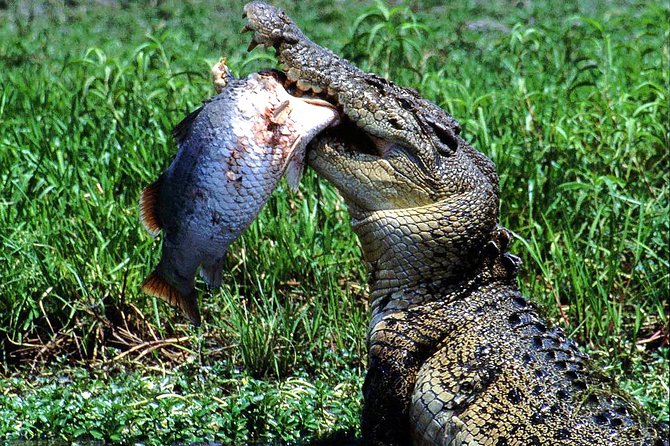 Corroboree Billabong Wetland Cruises - 2 Hour Sunset Cruise - What to Bring on the Cruise