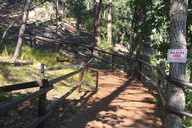 Cosmos Mystery Area Admission - Tips for a Great Visit