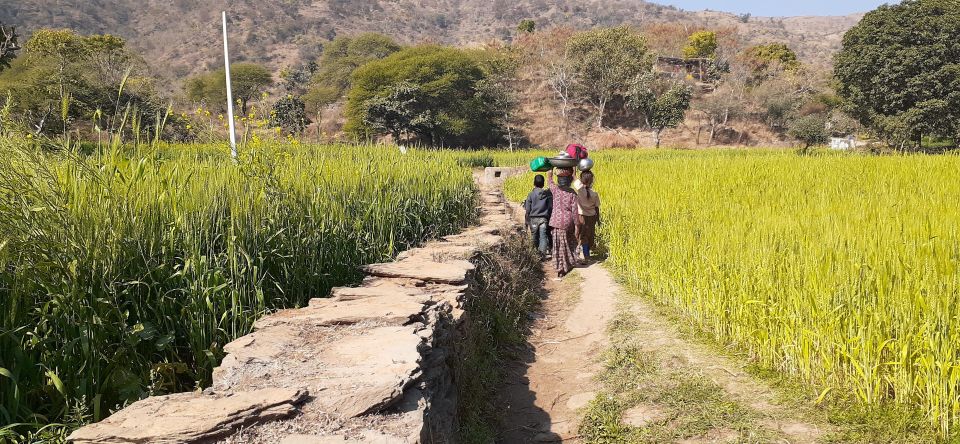 Countryside Arawali Hills Hiking Tour - What to Expect
