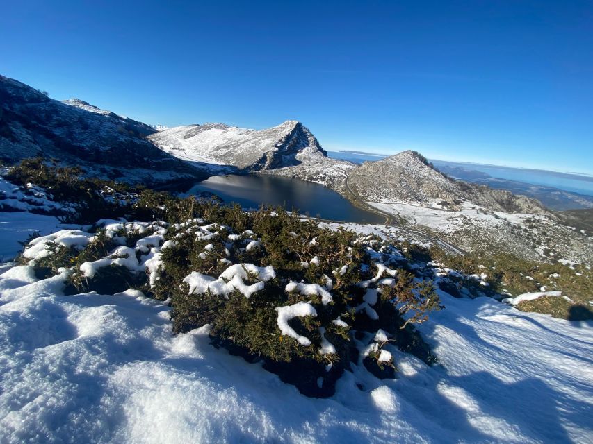 Covadonga and Lakes and Occidental Coast Private Tour - Pickup and Drop-off