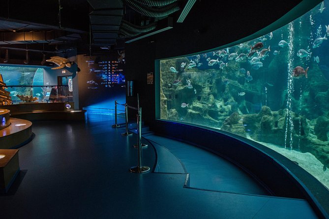 CRETAquarium Entrance Ticket in Crete - Visitor Experience