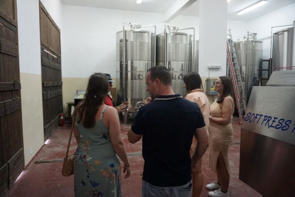 Crete: Full-Day Cretan Wines, Olive Oil, Raki and Food Tour - Winery Tour and Tasting