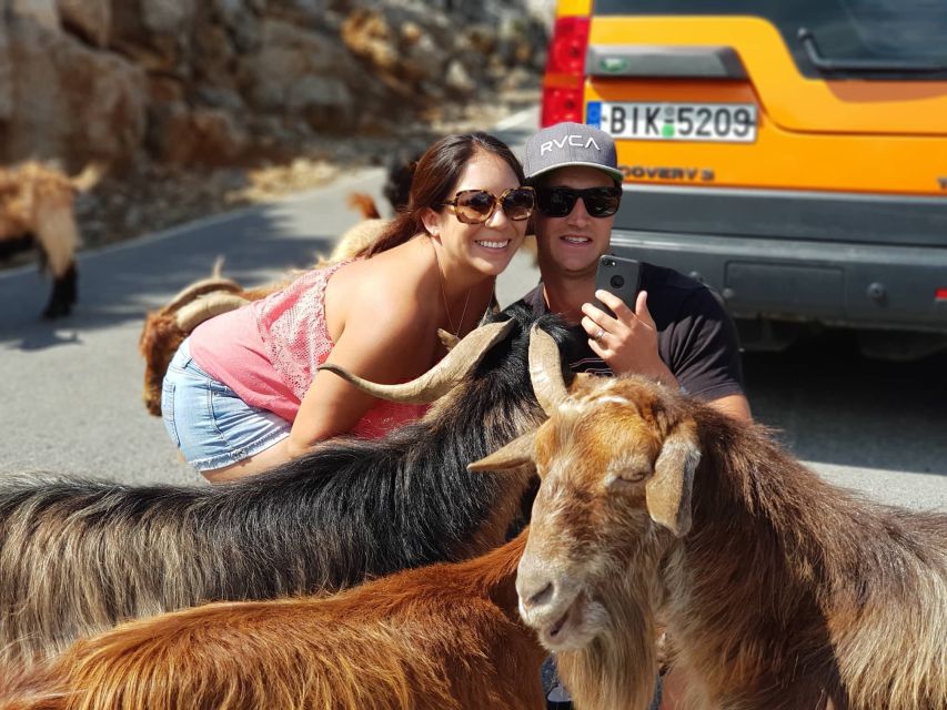 Crete: VIP Full-Day Private Tour - Customer Reviews