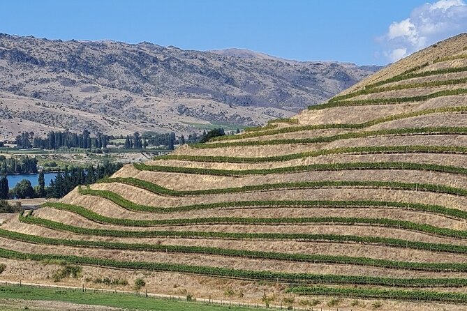 Cromwell Wine Tasting Tour Using Classic Car - What to Bring
