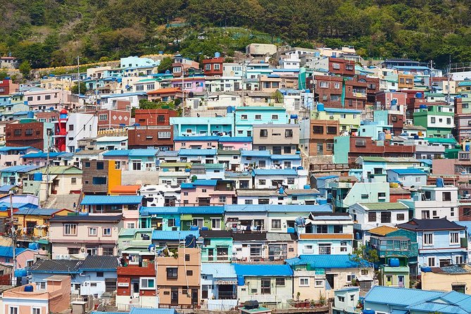 Cruise Layover : Small Group Busan Highlight Day Tour - Traditional Korean Lunch