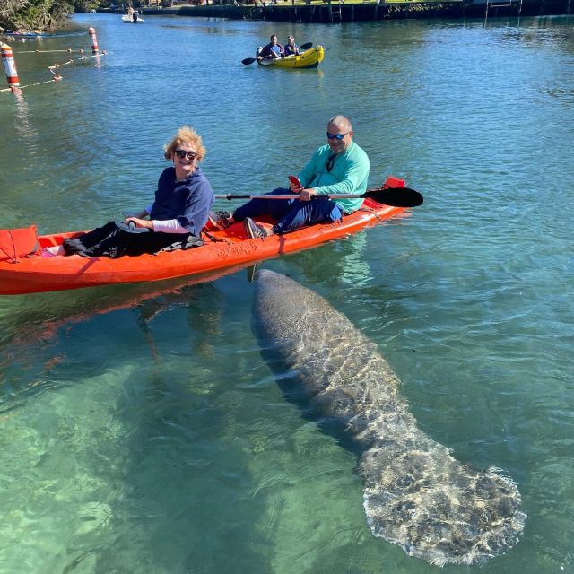 Crystal River: Kayak Rental - Planning Your Trip