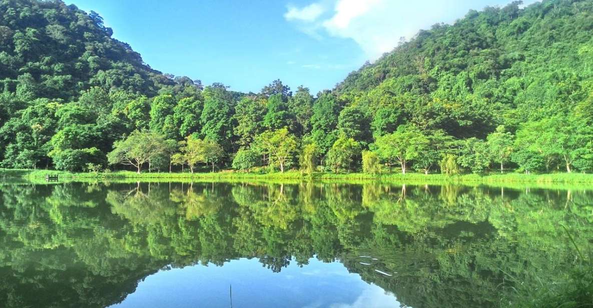 Cuc Phuong Forest - The Forest Of Thousands Of Butterflies - Visitor Tips and Recommendations