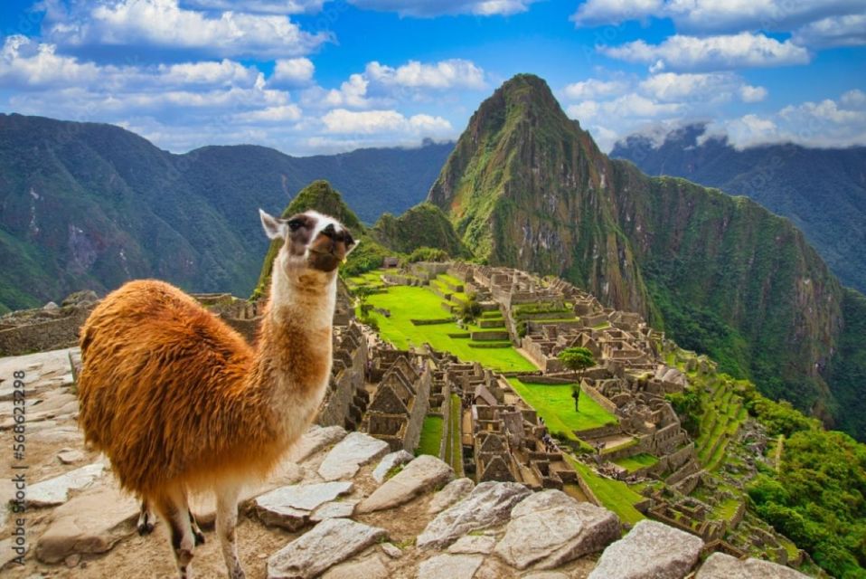 Cusco: 1-Day Excursion to Machu Picchu + General Admission Ticket & Train - Guided Tour Experience