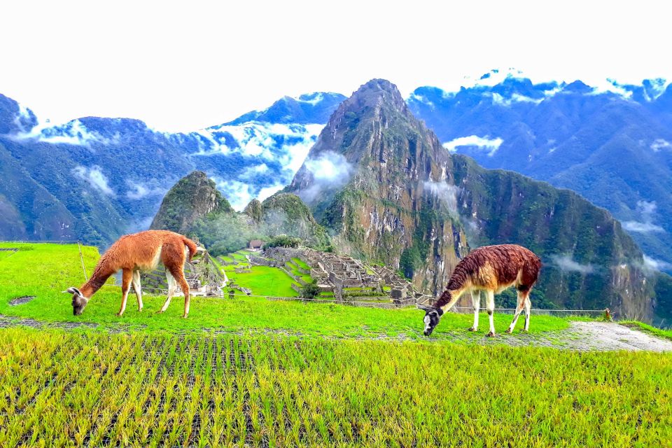 Cusco: 4-Day Inca Trail to Machu Picchu Small Group Trek - Included in the Trek