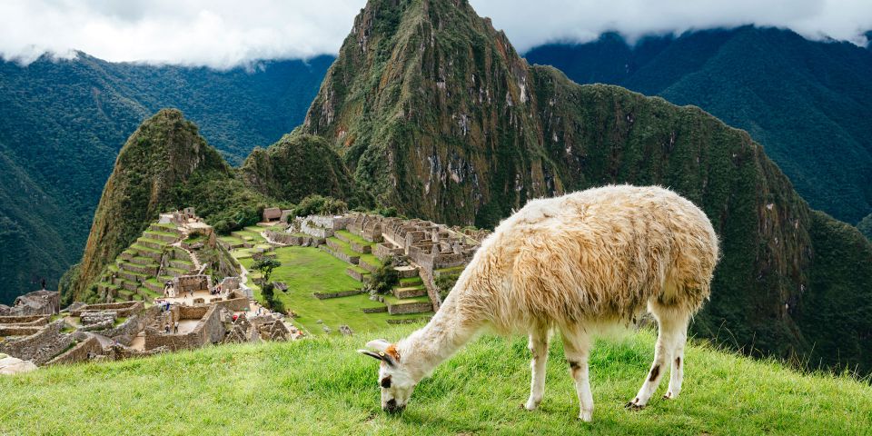 Cusco: Machu Picchu Tour 1 Day and Huayna Picchu Mountain - Train to Ollantaytambo