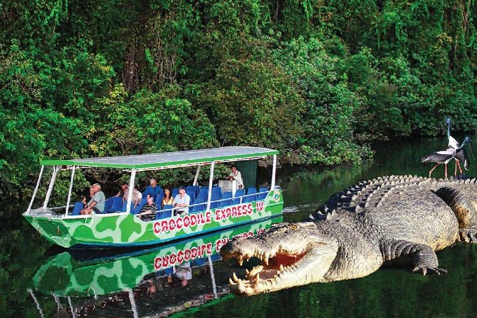 Daintree River Cruise - Booking Process and Pricing