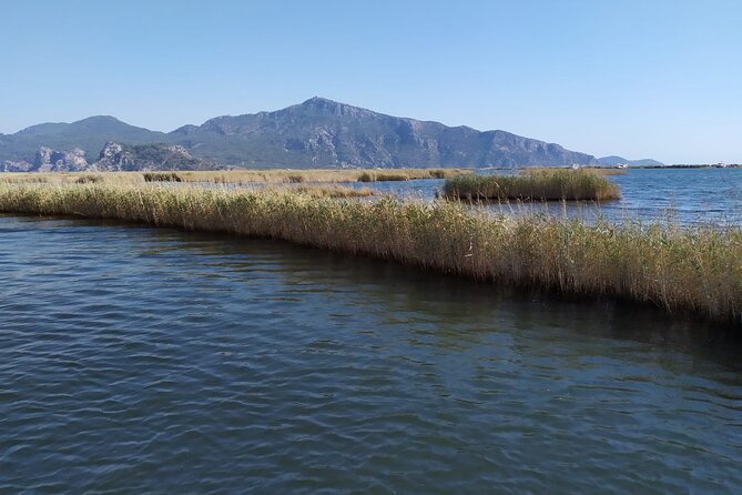 Dalyan Mud Bath and Turtle Beach From Sarigerme - Reviews and Guest Feedback