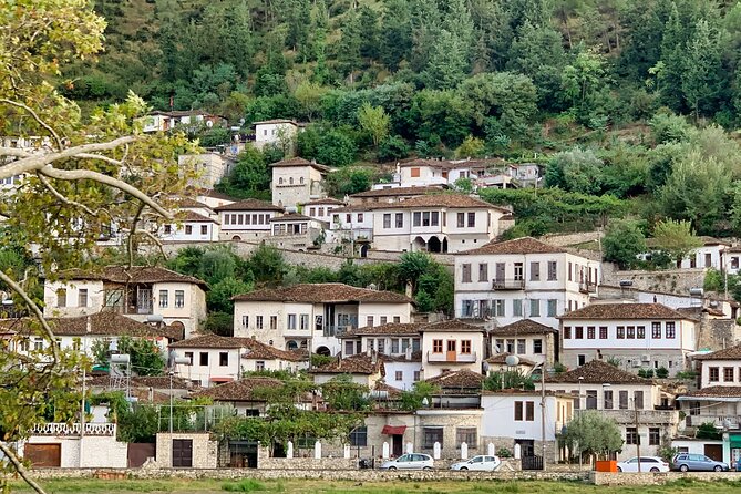 Day Tour of Berat via Belsh Lake From Tirana - Convenient Transportation and Tour Services