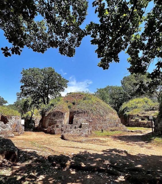 Day Trip Rome: Tarquinia and Cerveteri, Etruscan Tour - Pickup and Drop-off at Cinecittà