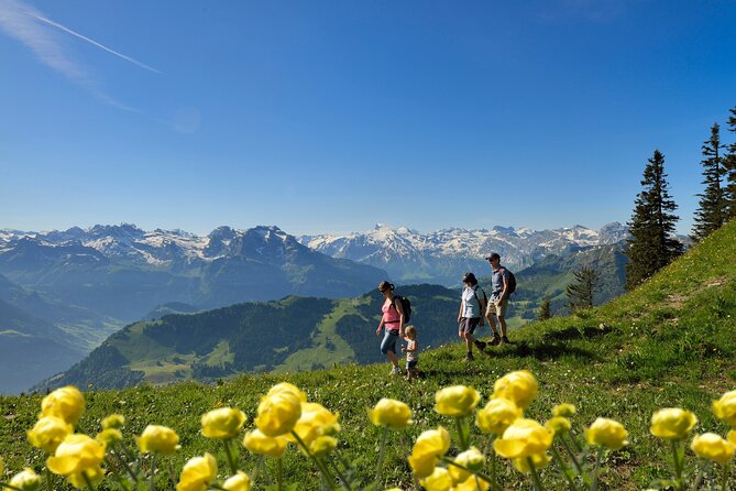 Day Trip to Lucerne and Mount Stanserhorn Including CabriO Cable Car Ride - Inclusions and Accessibility