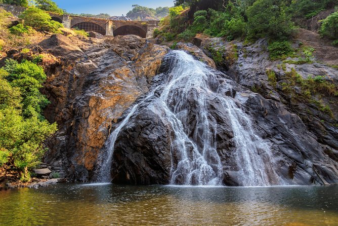 Day Trip to Mollem National Park Including Dudhsagar Falls and Jeep Safari From Goa - Dining on Goan Cuisine