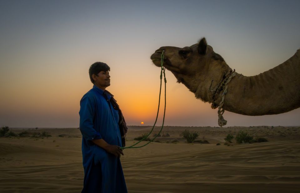 Dazzling Half Day Tour of Camel & Desert Safari With Sunset - What to Bring