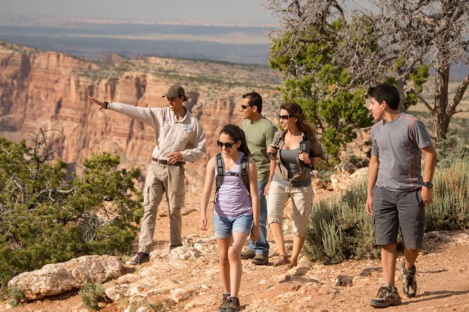 Desert View Grand Canyon Tour - Pink Jeep - Expert Guides and Their Insights