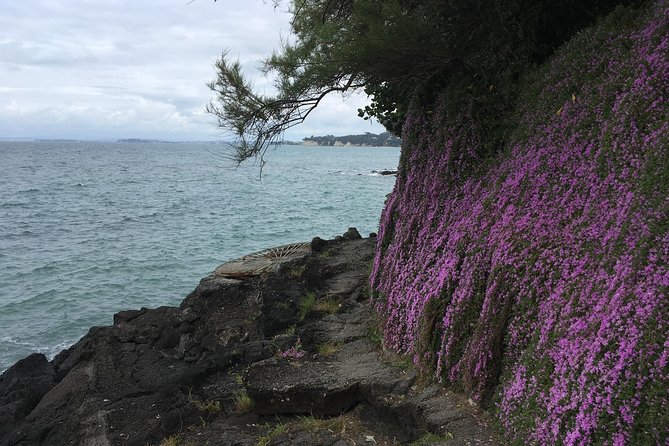 Devonport Volcanoes Afternoon Tour From Auckland - Weather Considerations for Tours