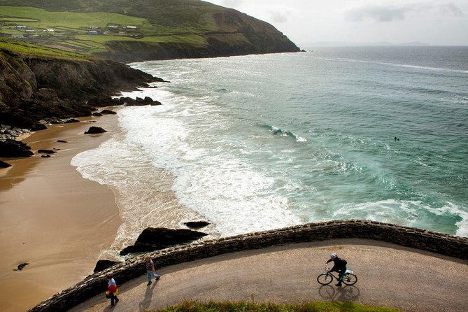 Dingle Peninsula Day Tour From Limerick: Including the Wild Altanic Way - Traveler Reviews and Ratings