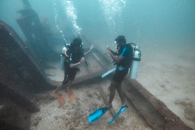 Discover SCUBA Diving in Beautiful Unawatuna Bay - What to Expect Underwater