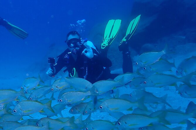 Discover Scuba Diving, Tenerife. Photos and Videos Included - Photos and Videos From Your Dive