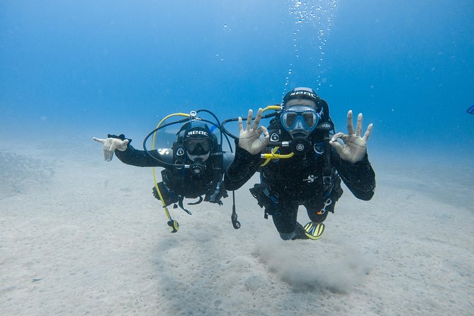 Discover the Underwater World of Lanzarote - Highlights of the Underwater World