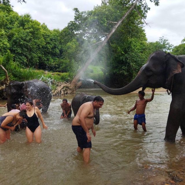 Doi Inthanon, Trekking Nature Trail, Elephant Tour - Doi Inthanon National Park