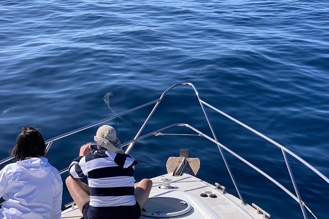 Dolphin Searching Tour in Puerto De Mogán (Keeper UNO Boat) - Included in the Tour