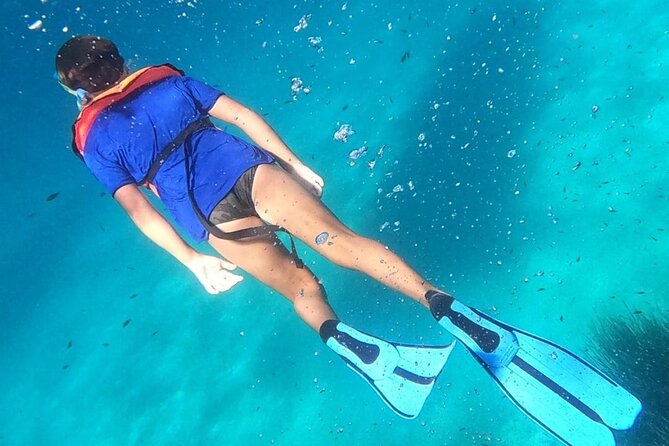 Dolphin Watching and Snorkeling in Figarolo in Sardinia - Dolphin Watching Experience