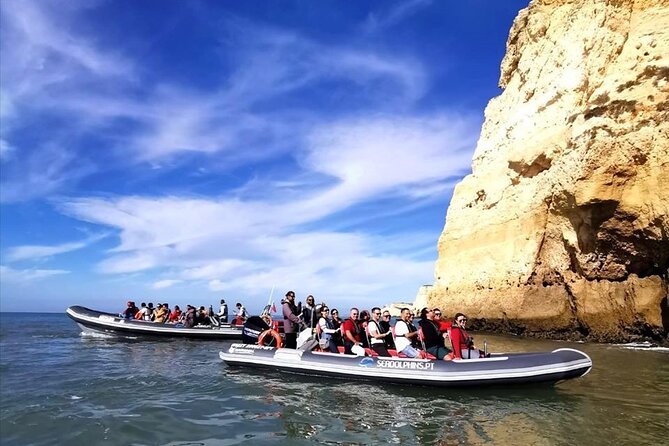Dolphins Watching - Accessibility Considerations