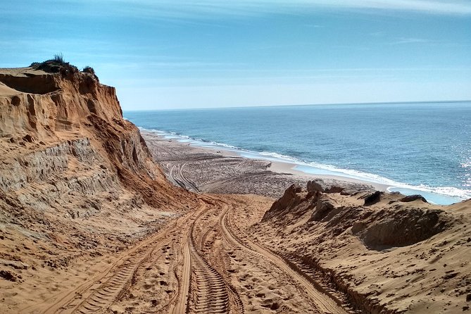 Doñana National Park and El Rocío: Guided Tour From Seville - Exploring Doñana National Park