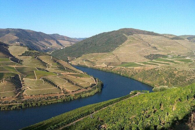 DOURO TOURS - in Pinhão 1 Day All Inclusive €135, DOURO Valley - Meeting and Return Information