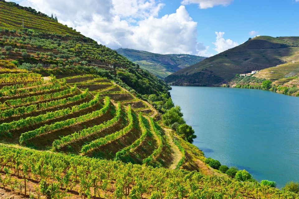 Douro Valley & Amarante - From Porto or Guimarães - Inclusions and Flexibility