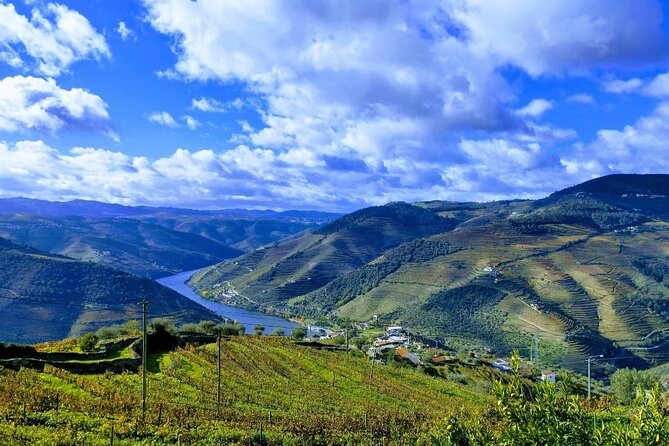 Douro Valley Small-Group Tour: 2 Wineries, Lunch, Optional Cruise - Lunch Provided