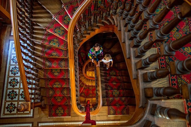 Dunedin Castle to Cruise Tour - Wildlife Encounters to Anticipate