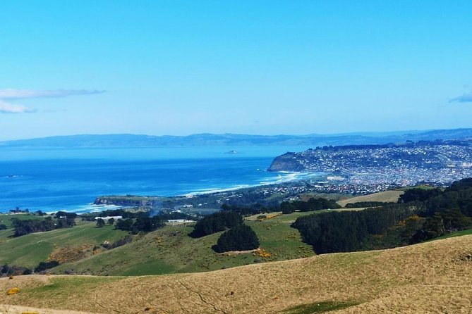 Dunedin City and Coastal Views 3-Hour Small-Group Guided Tour - Tour Logistics and Meeting Points