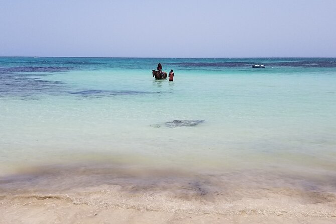 Dunns River Falls, River Tubing, and Horseback Riding With Transportation - Customer Feedback and Ratings