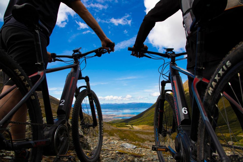 E-Bike Beagle Viewpoint - Recap