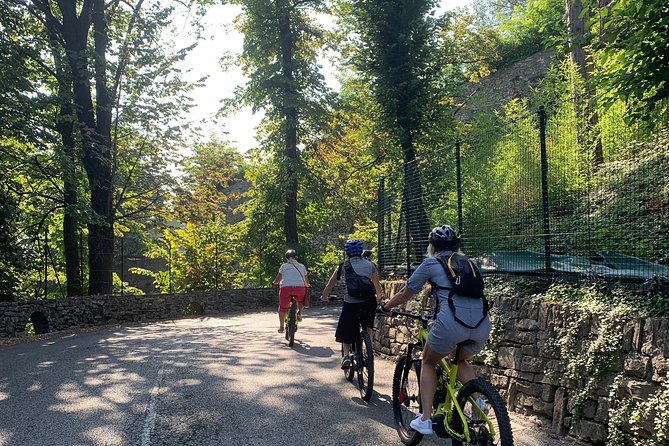 E-Bike Tour Bergamo - E-bike Specs